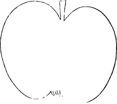 THE JEFFERSON COUNTY APPLE.