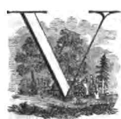 The Kitchen Garden 30045