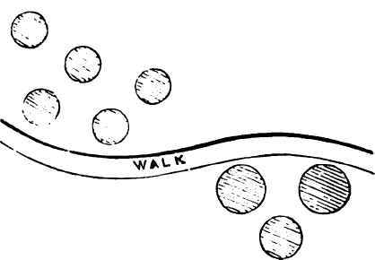 Remarks On Flower Gardening The Forms And Position 22002