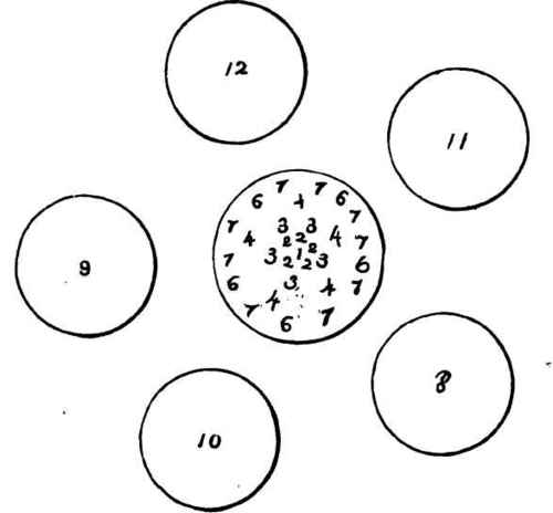 Remarks On Flower Gardening The Forms And Position 22003