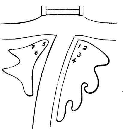 Remarks On Flower Gardening The Forms And Position 22004