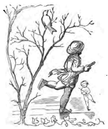 Restoration Of Old Vines In The Grapery 16009