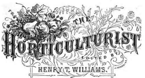 Transactions Nebraska State Horticultural Society 280024