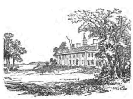 A Capital Apple Parer 160070