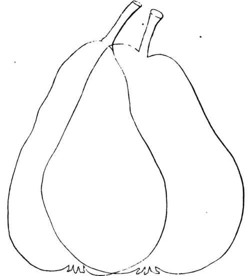 BEURRE NANTAIS. BEURRE BACHELIER.