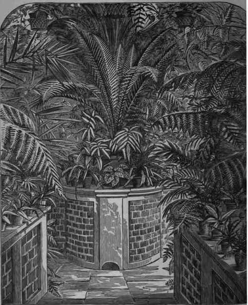 Fern House At Hillfield.