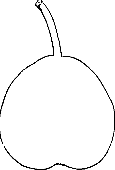 Fondante De Malines.