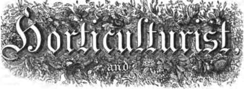 Half Hardy Treks 70042