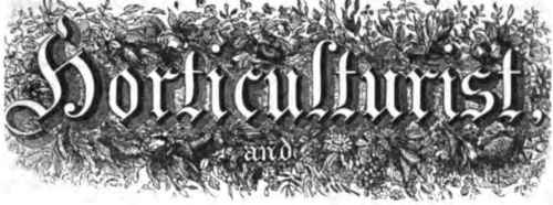 Horticultural Society Of Pitteburgh 70032