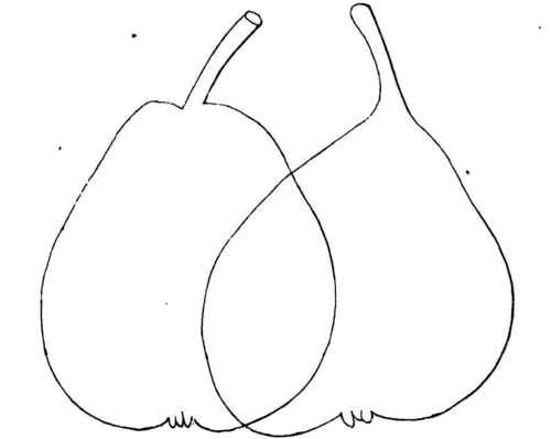 TAN MOMs 1826. POIRE d'aVRIL.