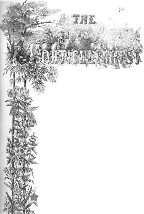 The Horticulturist And Journal Of Rural Art And Rural Taste.