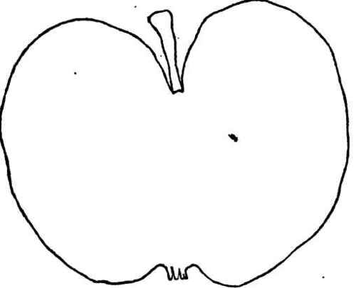 Moister Apple.