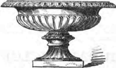 TOWNSEND OR SEAGER APPLE.