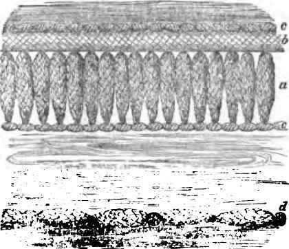 August Garden Furniture 30093