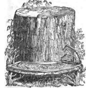 August Garden Furniture 30095