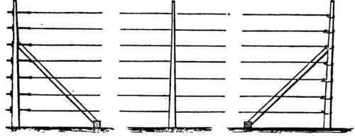 Grape-Vine Trellis 170016