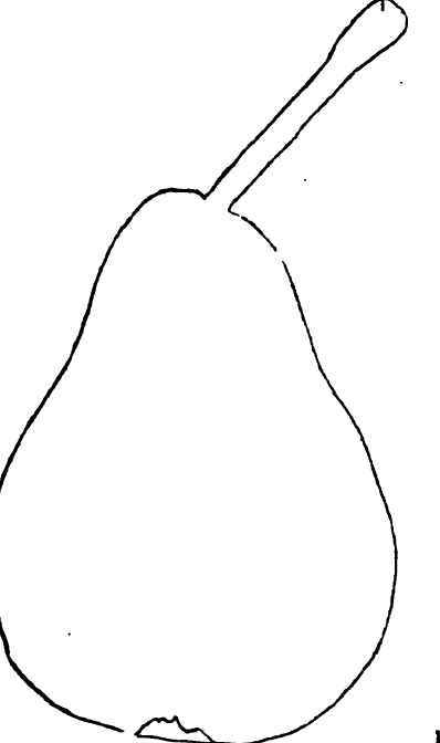 THE GENERAL DUTILLEUL PEAR.