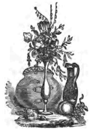 Importance Of Water In Gardening 30035