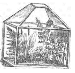 Improvement Of The Portable Steam Engine 1200127