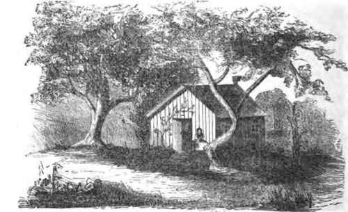 PLAY HOUSE.