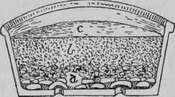 Sowing Small Seeds in a Box or Pan.