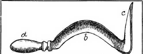 Fig. 28. A cleft grafting knife.