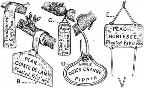 Fig. 101. Labels For Fruit Trees