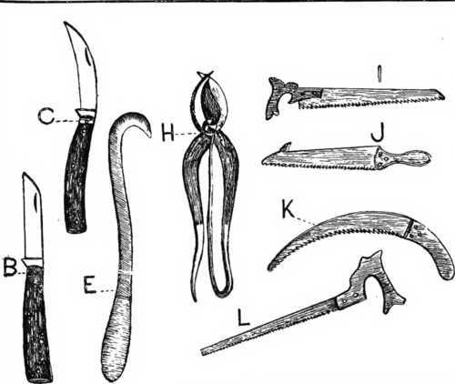 Fig. 16. A Selection Of Tree Pruning Tools.