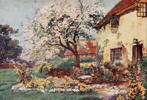 The apple and crab are pre-eminently beautiful when in bloom. Apple Blossom in a Cottage Garden. Painted by A. C. Wyatt.