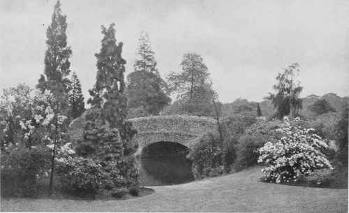 A bridge in the water garden at Aldenham House, Elstree. Showing Viburnum plicatum, Syringa, Cupressus Lawsoniana lutea, Salix babylonica, and Choisya ternata. Photo by R. A. Malby.