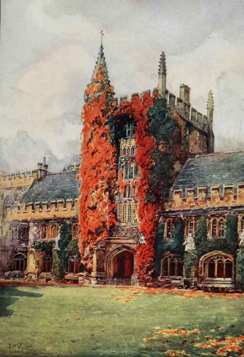 Veitch's virginian creeper is a true climber and assumes exquisite shades in the fall. Painted by A. C. Wyatt.