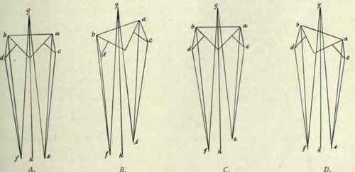 Fig. 498. Measurements of the lower limbs, viewed from the front, a, left anterior superior spine; b, right anterior superior spine; c, left trochanter; d, right trochanter; e, left internal malleolus; f, right internal malleolus; g, umbilicus; h, lower end of median line.