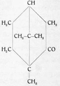 Camphor 170