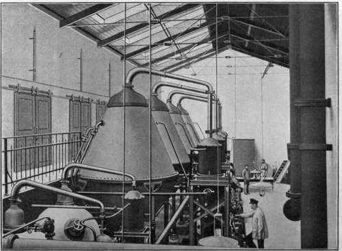 Distillation of rose oil