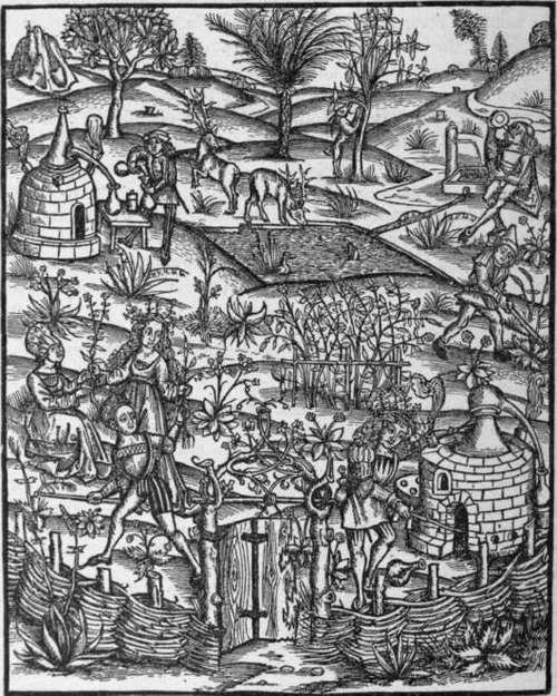 II General History Of The Volatile Oils 17