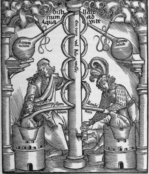 II General History Of The Volatile Oils 20
