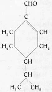 Phellandral 163