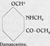 241 Oil Of Nigella Damascena 56