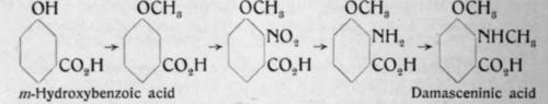 241 Oil Of Nigella Damascena 57