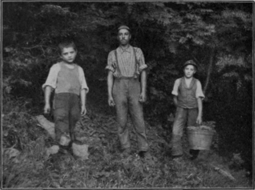 Fig. 13. Collection of Cones: Picker (Brecher) and gatherers (Leser).
