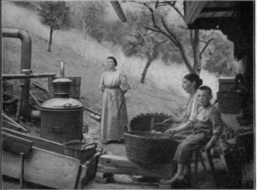 Fig. 15. Distilling apparatus.