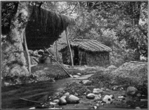 Fig. 21.