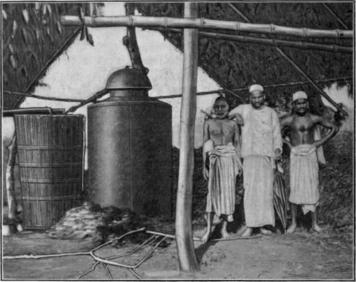 Fig. 24. Distillation of lemongrass oil in the neighborhood of Alwaye (Travancore).