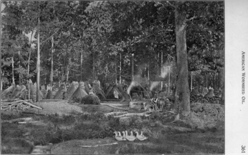 Fig. 33. Distillation of American Wormseed oil in Maryland.