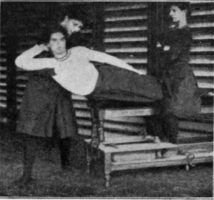 Fig. 133