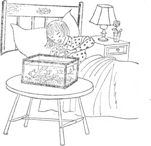 Hobbies And Occupations 10