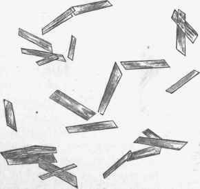 Crystals of haemin prepared artificially by adding glacial acetic acid to a drop of blood, heating and evaporating to dryness, x 350.