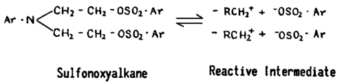 Changes occurring in sulfonoxyalkancs leading to two active CH2 centers