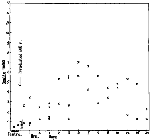 Fatty acid conjugation and irradiation in vivo