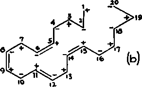 Hypothesis of the synthesis of the allopregnane radical